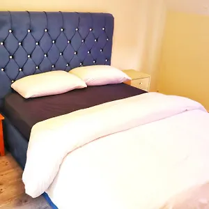 Séjour chez l'habitant Deluxe Dwelling - 15 Mins From City/airport, Cork